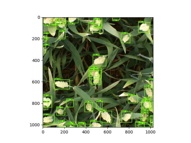 Wheat Head Detector